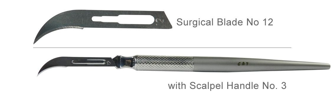 Surgical blade no sale 12